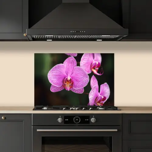 Roze orchidee keuken achterwand spatscherm klein -sfeer1
