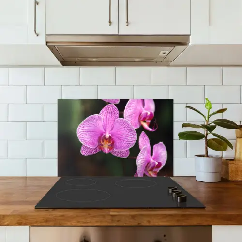 Roze orchidee keuken achterwand spatscherm klein -sfeer2
