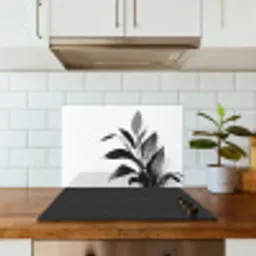 Plant - Bladeren - Minimalistisch - Zwart keuken achterwand spatscherm klein -sfeer2