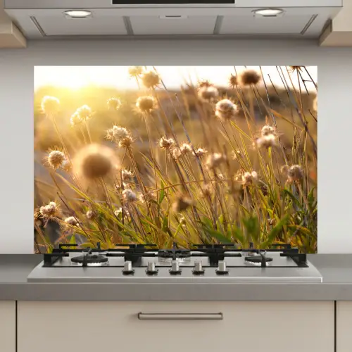 Planten - Natuur - Bloemen - Zon - Horizon keuken achterwand spatscherm klein -3d_website