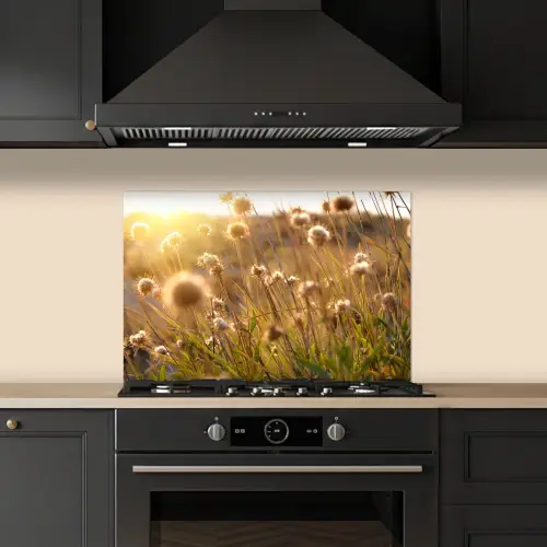 Planten - Natuur - Bloemen - Zon - Horizon keuken achterwand spatscherm klein -sfeer1