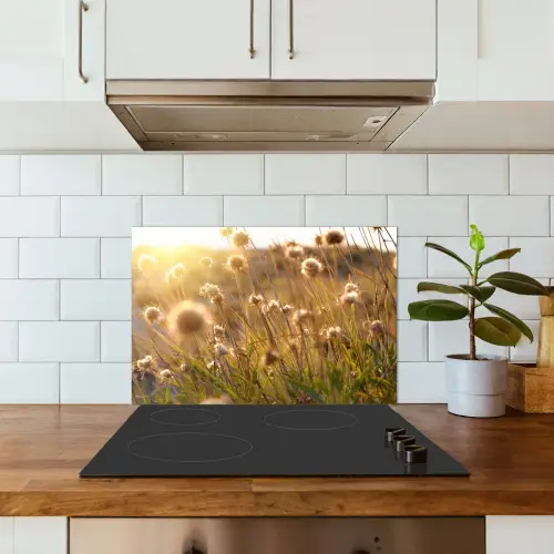 Planten - Natuur - Bloemen - Zon - Horizon keuken achterwand spatscherm klein -sfeer2