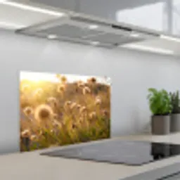 Planten - Natuur - Bloemen - Zon - Horizon keuken achterwand spatscherm klein -3d_schuin