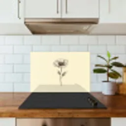 Klaproos - Illustratie - Zwart keuken achterwand spatscherm klein -sfeer2
