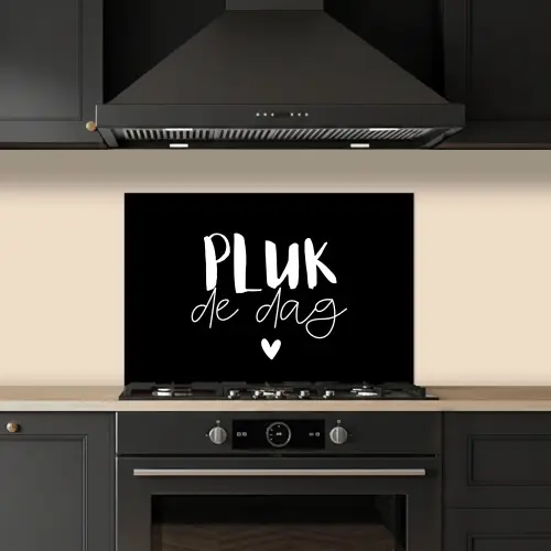 Quotes - Pluk de dag - Spreuken - Carpe diem - Geluk keuken achterwand spatscherm klein -sfeer1