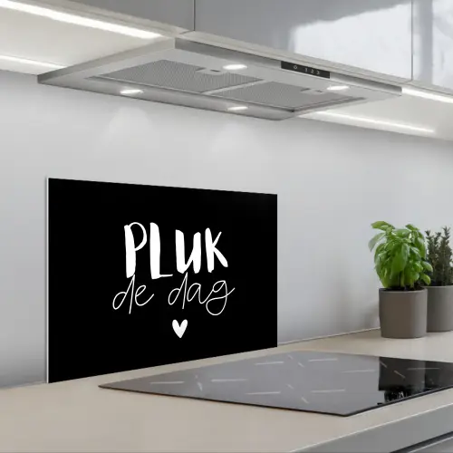 Quotes - Pluk de dag - Spreuken - Carpe diem - Geluk keuken achterwand spatscherm klein -3d_schuin