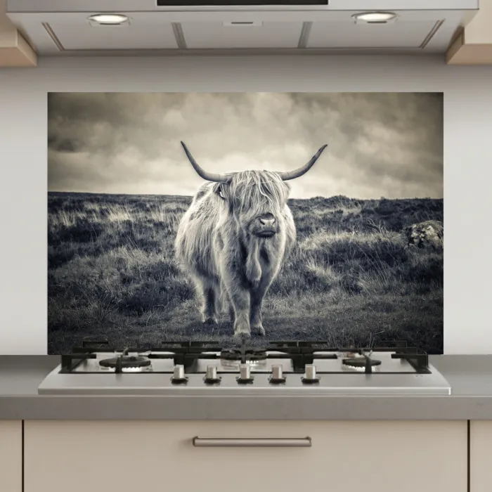 Schotse hooglander - Dieren - Wolken - Koe - Natuur keuken achterwand spatscherm klein -3d_website