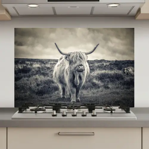 Schotse hooglander - Dieren - Wolken - Koe - Natuur keuken achterwand spatscherm klein -3d_website