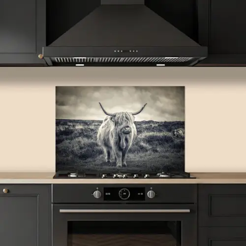 Schotse hooglander - Dieren - Wolken - Koe - Natuur keuken achterwand spatscherm klein -sfeer1
