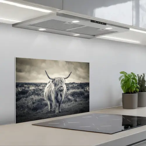 Schotse hooglander - Dieren - Wolken - Koe - Natuur keuken achterwand spatscherm klein -3d_schuin