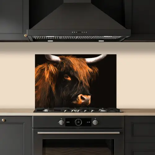 Schotse hooglander - Zwart - Koe - Hoorn - Dieren keuken achterwand spatscherm klein -sfeer1