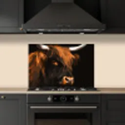 Schotse hooglander - Zwart - Koe - Hoorn - Dieren keuken achterwand spatscherm klein -sfeer1