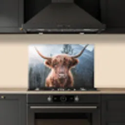 Schotse hooglander - Koe - Dieren - Berg - Natuur keuken achterwand spatscherm klein -sfeer1