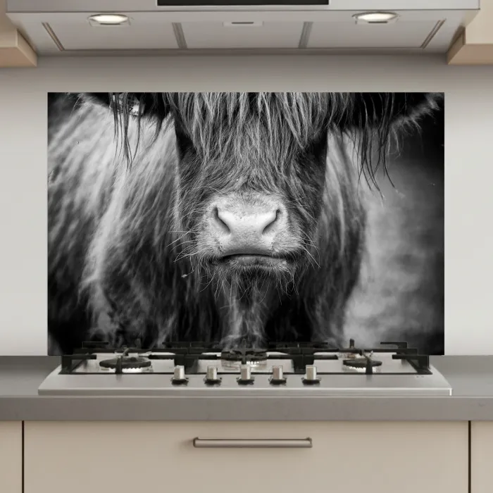 Schotse hooglander - Koe - Zwart - Wit - Dieren keuken achterwand spatscherm klein -3d_website