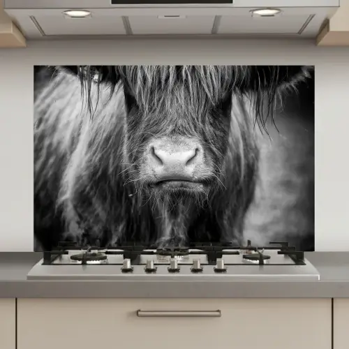 Schotse hooglander - Koe - Zwart - Wit - Dieren keuken achterwand spatscherm klein -3d_website