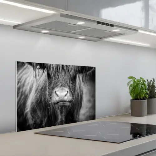 Schotse hooglander - Koe - Zwart - Wit - Dieren keuken achterwand spatscherm klein -3d_schuin