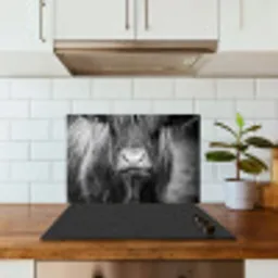 Schotse hooglander - Koe - Zwart - Wit - Dieren keuken achterwand spatscherm klein -sfeer2