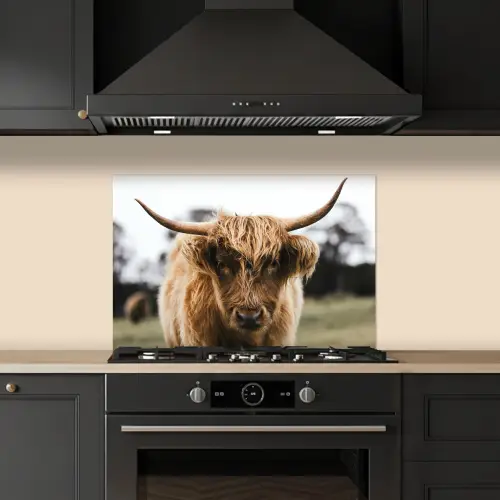 Schotse Hooglander - Koe - Gras - Dieren - Natuur keuken achterwand spatscherm klein -sfeer1