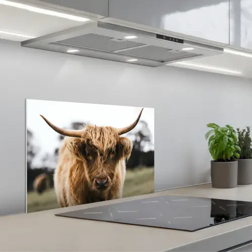 Schotse Hooglander - Koe - Gras - Dieren - Natuur keuken achterwand spatscherm klein -3d_schuin