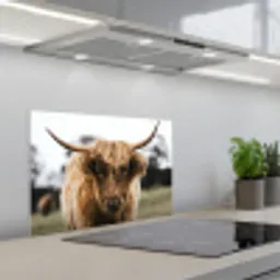 Schotse Hooglander -  Koe - Gras - Dieren - Natuur keuken achterwand spatscherm klein -3d_schuin