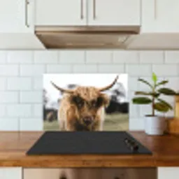 Schotse Hooglander -  Koe - Gras - Dieren - Natuur keuken achterwand spatscherm klein -sfeer2