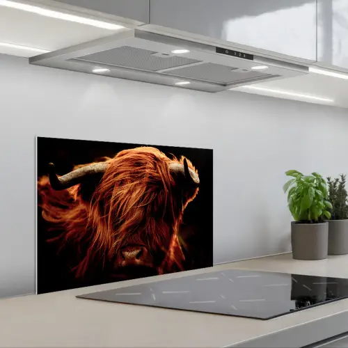 Schotse hooglander - Koe - Hoorns - Portret - Dieren keuken achterwand spatscherm klein -3d_schuin