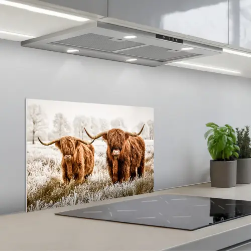 Schotse hooglander - Koe - Natuur - Winter keuken achterwand spatscherm klein -3d_schuin