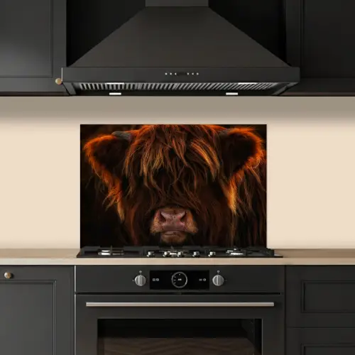 Schotse Hooglander - Koe - Portret - Dieren keuken achterwand spatscherm klein -sfeer1