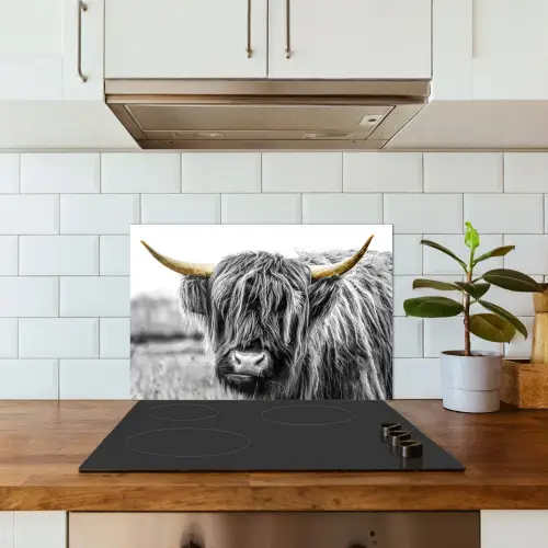 Schotse hooglander - Hoorns - Goud - Zwart keuken achterwand spatscherm klein -sfeer2