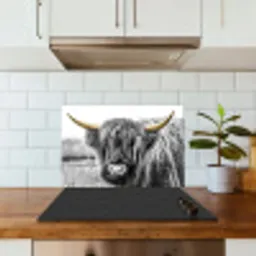 Schotse hooglander - Hoorns - Goud - Zwart keuken achterwand spatscherm klein -sfeer2