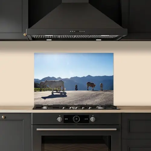 Schotse hooglander - Licht - Berg - Natuur keuken achterwand spatscherm klein -sfeer1