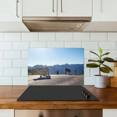 Schotse hooglander - Licht - Berg - Natuur keuken achterwand spatscherm klein -sfeer2
