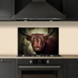 Schotse hooglander - Licht - Portret - Natuur keuken achterwand spatscherm klein -sfeer1
