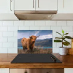 Schotse Hooglander - Berg - Water - Natuur - Koe keuken achterwand spatscherm klein -sfeer2