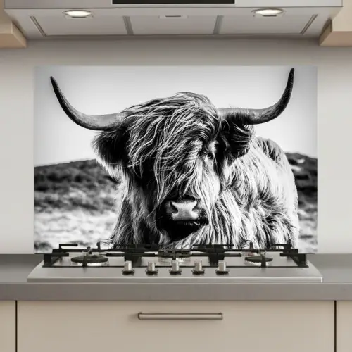 Schotse hooglander - Natuur - Koe - Zwart - Wit keuken achterwand spatscherm klein -3d_website