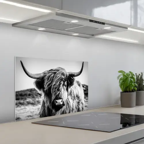 Schotse hooglander - Natuur - Koe - Zwart - Wit keuken achterwand spatscherm klein -3d_schuin