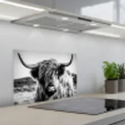 Schotse hooglander - Natuur - Koe - Zwart - Wit keuken achterwand spatscherm klein -3d_schuin