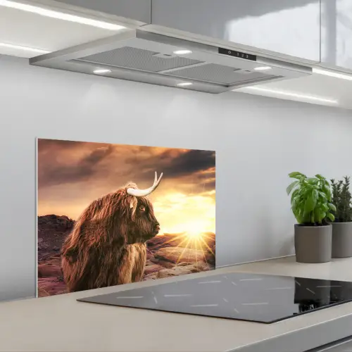 Schotse hooglander - Zon - Horizon - Koe - Dieren keuken achterwand spatscherm klein -3d_schuin