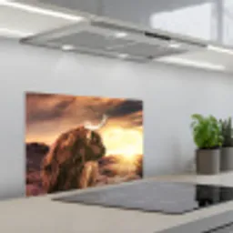 Schotse hooglander - Zon - Horizon - Koe - Dieren keuken achterwand spatscherm klein -3d_schuin