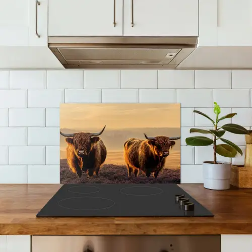 Schotse hooglanders - Heide - Landschap - Dieren keuken achterwand spatscherm klein -sfeer2
