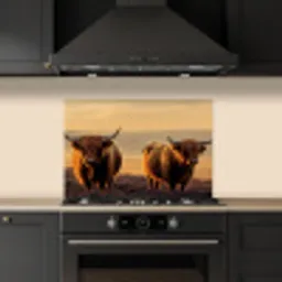 Schotse hooglanders - Heide - Landschap - Dieren keuken achterwand spatscherm klein -sfeer1