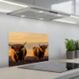 Schotse hooglanders - Heide - Landschap - Dieren keuken achterwand spatscherm klein -3d_schuin