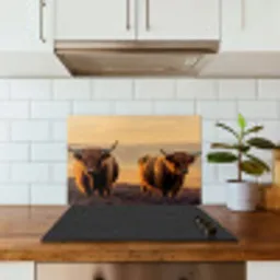 Schotse hooglanders - Heide - Landschap - Dieren keuken achterwand spatscherm klein -sfeer2