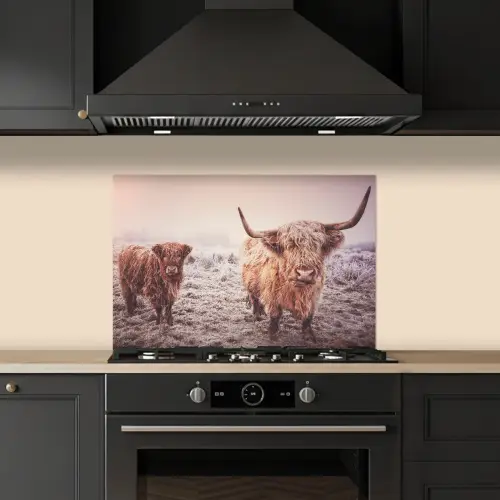 Schotse Hooglanders - Sneeuw - Zon keuken achterwand spatscherm klein -sfeer1