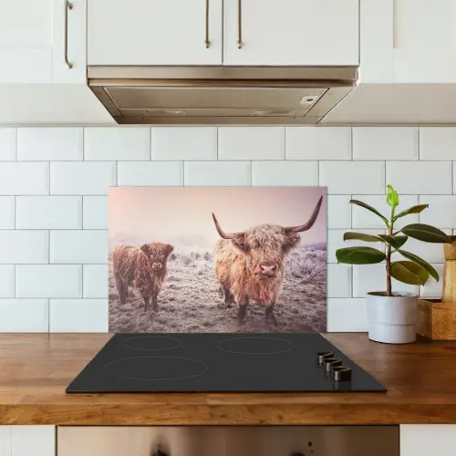 Schotse Hooglanders - Sneeuw - Zon keuken achterwand spatscherm klein -sfeer2
