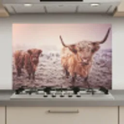 Schotse Hooglanders - Sneeuw - Zon keuken achterwand spatscherm klein -3d_website