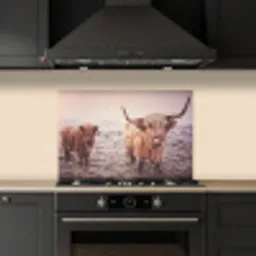 Schotse Hooglanders - Sneeuw - Zon keuken achterwand spatscherm klein -sfeer1