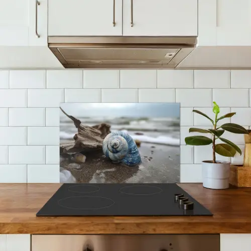 Schelp - Strand - Blauw - Zee keuken achterwand spatscherm klein -sfeer2