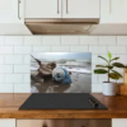Schelp - Strand - Blauw - Zee keuken achterwand spatscherm klein -sfeer2