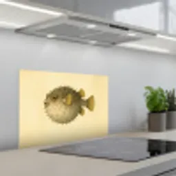 Stekels - Vis - Opgeblazen - Bruin keuken achterwand spatscherm klein -3d_schuin